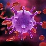 Virus surrounded by red blood cells