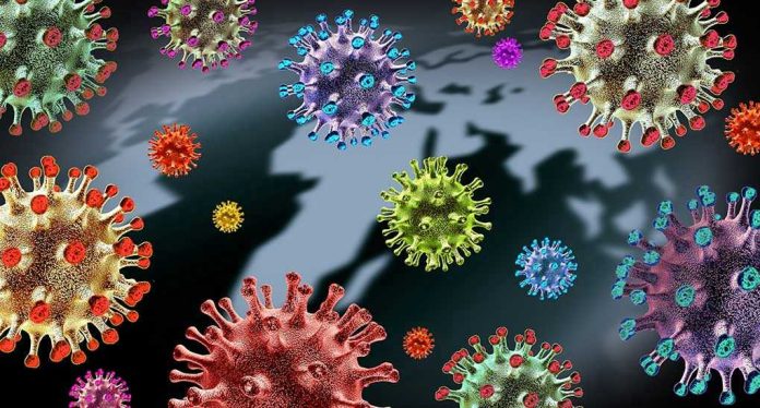 1924081337 Colorful virus illustrations over a world map