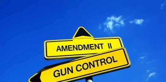 gun control