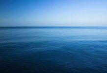 A calm ocean under a clear blue sky