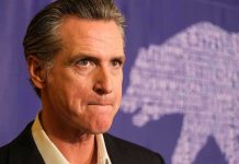 Newsom’s TOP Aide ARRESTED – Money Missing! Man in suit, solemn expression, purple background with bear drawing.