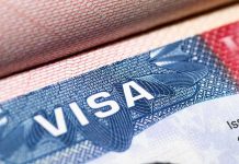 Trump’s Wild Visa Gamble – Unlocks New Rule visa