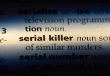 Houston Bodies SPARK Viral Serial Killer PANIC Dictionary definition of serial killer highlighted