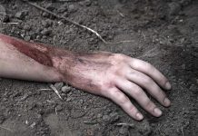 Hammer-Wielding Horror: SHOCKING Videos Found Injured arm partially buried in dirt.
