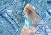 Hands with pipette and test tube surrounded by DNA strands.
