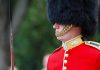 British soldier in ceremonial uniform with a black fur hat standing guard