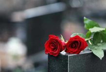 Funeral Procession HALTED Mid-Freeway — Family FURIOUS Two red roses on a gravestone.