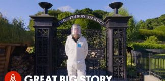 Enter the Deadliest Garden in the World