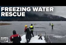 'Right place, right time': Dive team rescues man who fell