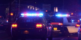 Police cars with flashing lights at a nighttime scene near a motel