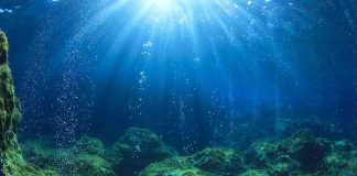 Underwater view showing sunlight rays penetrating the ocean surface with bubbles rising