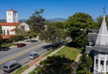 Australia’s “Living Dead” Trees: Biosecurity Failure Street with church, parked cars, and trees.