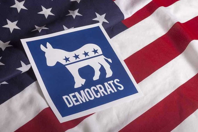 Democratic Party symbol on American flag background.