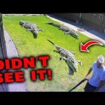 The TERRIFYING LAST MOMENTS Of David Hogbin