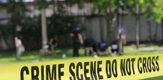 Easter Egg Hunt HORROR—Family CRUSHED Yellow crime scene tape blocking grassy area.