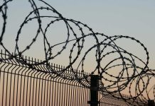 Barbed wire fence against sunset sky background.