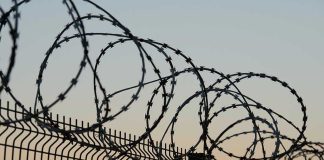 Barbed wire fence against sunset sky background.