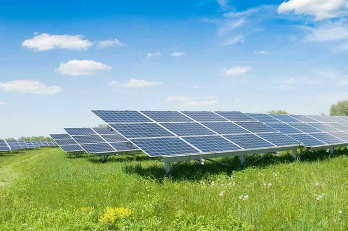 1909802176 Solar panels in a grassy field under blue sky.