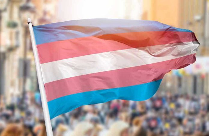 Transgender pride flag waving at outdoor event.