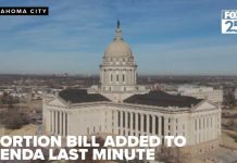 Bill to make it a felony for trafficking abortion-inducing drugs heads to Governor's desk