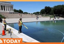 Trump Says Reflecting Pool Needs Draining After $14M Upgrade