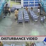 St. Louis County Justice Center inmate disturbance video released