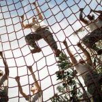 People climbing a red rope net outdoors.