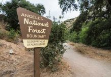 Sign marking the boundary of Angeles National Forest along a dirt path