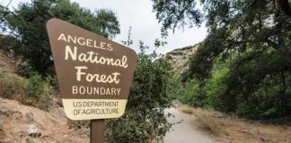 Heat Deaths Mount—Where Were The Rangers? Sign marking the boundary of Angeles National Forest along a dirt path