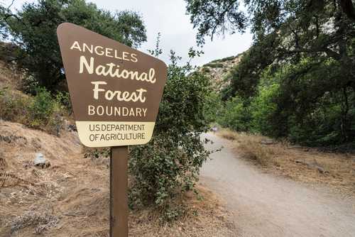 shutterstock_1798327576 Sign marking the boundary of Angeles National Forest along a dirt path