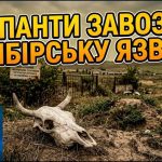 Russia’s Dirty Anthrax Play Anthrax in the Kherson region? Occupiers are bringing in infected carcasses