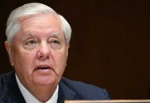 Darline Graham Nordone appointed to fill late Senator Lindsey Graham's seat | full video