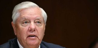 Darline Graham Nordone appointed to fill late Senator Lindsey Graham's seat | full video