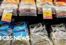 Taylor Farms voluntarily pulls iceberg lettuce linked to cyclosporiasis outbreak