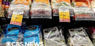 Taco Bell Lettuce Panic Explodes Taylor Farms voluntarily pulls iceberg lettuce linked to cyclosporiasis outbreak