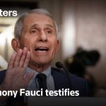 Rand Paul Cornered Fauci — Then This! LIVE: Dr. Anthony Fauci testifies in Senate hearing
