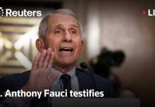 LIVE: Dr. Anthony Fauci testifies in Senate hearing