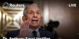 Rand Paul Cornered Fauci — Then This! LIVE: Dr. Anthony Fauci testifies in Senate hearing