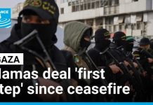 Hamas disarming would be 'first concrete step to re-energise peace plan', but questions remain