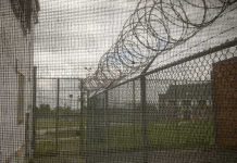 Barbed wire on chain-link fence at a prison yard