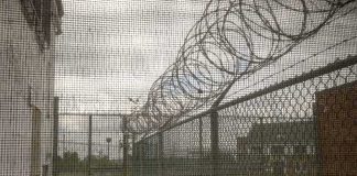 Crocodile Moats? Country Pushes Wild Prison Plan Barbed wire on chain-link fence at a prison yard