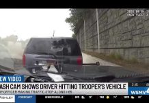 Dash cam video shows driver hitting Tennessee trooper's vehicle along I-65