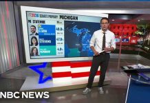 Abdul El-Sayed wins Michigan’s Democratic Senate primary, NBC News projects