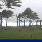 Hurricane Lala Leaves Hawaii Battered and Broken Hurricane Lala Leaves Hawaii Battered and Broken