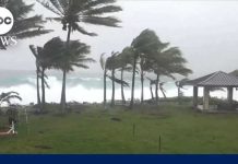 Hurricane Lala Leaves Hawaii Battered and Broken
