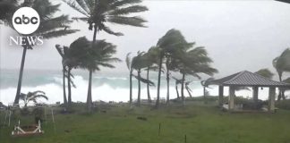 Hurricane Lala Leaves Hawaii Battered and Broken Hurricane Lala Leaves Hawaii Battered and Broken
