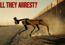 Robot Dogs for ICE: $2M Plan Amid Record Arrests