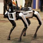 Pentagon Builds New Command for ROBOT WARFARE Robotic dog standing on indoor carpeted floor.