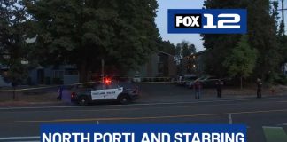 2 men hurt in North Portland stabbing