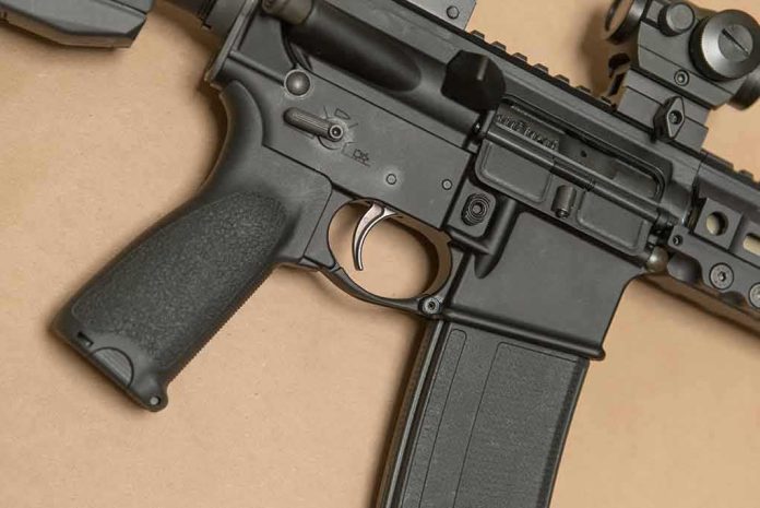AR-style rifle close-up with grip, trigger, and magazine